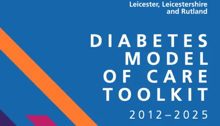Diabetes Model of Care Toolkit cover 